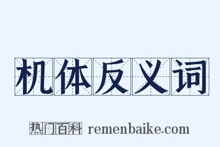 机体反义词是什么意思的图片
